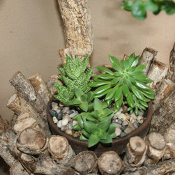 Accent Ideas for your Landscape Project - Outdoor Pots And Planters