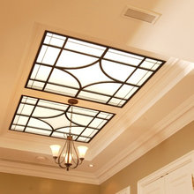skylight lenses
