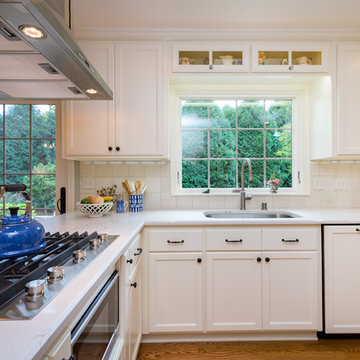 Traditional Kitchen with Painted Reverse Paneled Doors