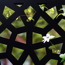 Outdoor Spaces