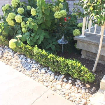 Before Photos of Our Landscape Lighting Projects