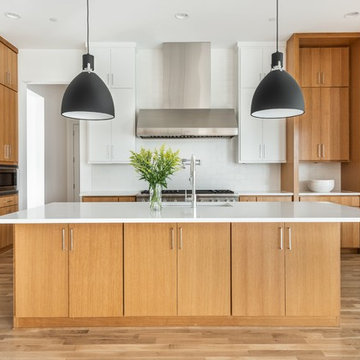 Urban Modern Home