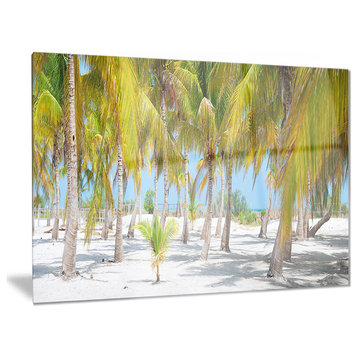 "Palm Trees" Landscape Photography Glossy Metal Wall Art, 28"x12"