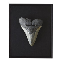 MEGALODON WALL ART&ndash;PLEISTOCENE - NEW - Artwork