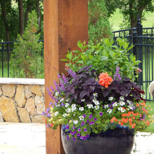 Flower Pot Ideas
