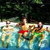 Marshall Harding's photo