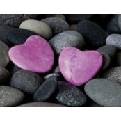 Jule Sommer's photo