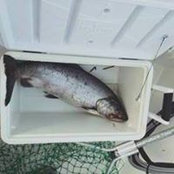 Robert Christensen's photo
