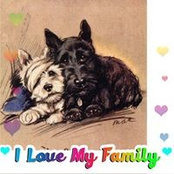 Michelle Davison's photo