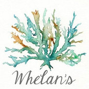 Whelan S Furniture Savannah Ga Us 31419 Whelan S Furniture