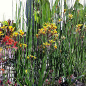Ravi Iyer's photo