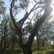Henry Southwell's photo