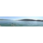 Jaron Dyble's photo