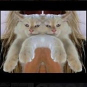 Anita Schmidt's photo