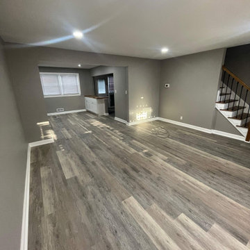 Title: Modern Full Home Renovation