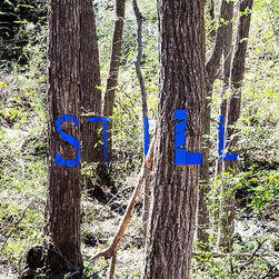 Art Installation: "Still" - Mixed Media Art