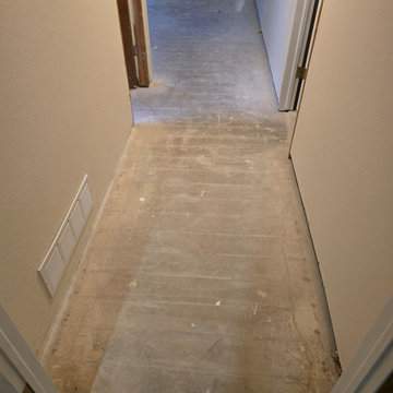 Basement Subtle Clay Carpet