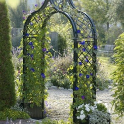Ornate rose arch - Pergolas