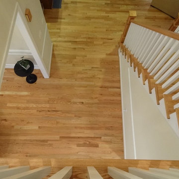 Steps & Handrail