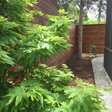Lake Highlands Modern Landscape