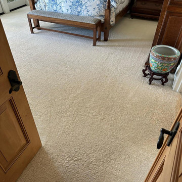Carpet, Rug, and Upholstery Cleaning Services