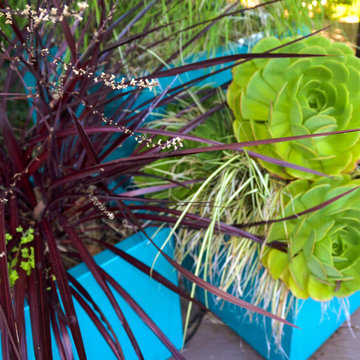 Geometry Overgrown: a Modern Pool & Landscape