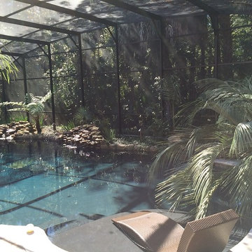 Jungle Love Pool Area