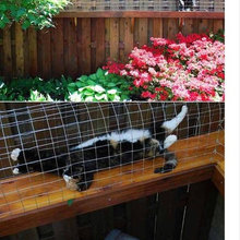 Catio