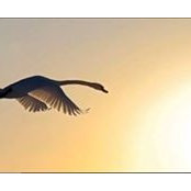 Maria Mkrtycheva's photo