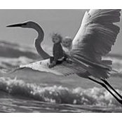 Foto von George Arnall