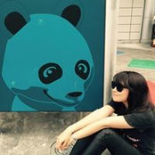 Panda Jose's photo