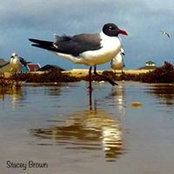 Stacey Browns foto