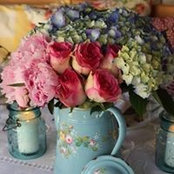 Debi Johnson's photo