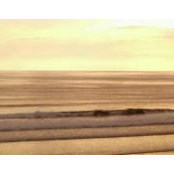 Sharon Fleming's photo