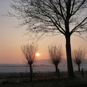 Simone M's photo