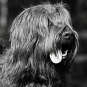 Rob Duykerss foto