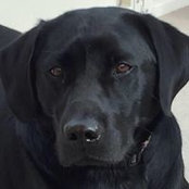 Catherine Garner's photo