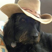 Jim Dixon's photo
