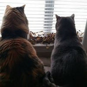 Amy Barrett's photo