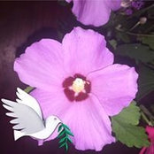 Foto von Cecilia Arce