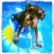 Virginia Golson's photo