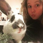 Meghan Hamelin's photo