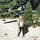 alexa_basse