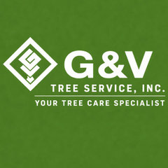 G&V Tree Service