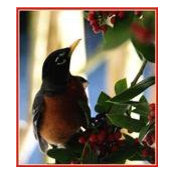 Sherry Minner's photo