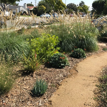 Bermed front yard