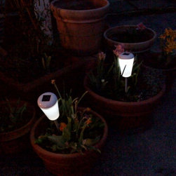 Lights at Night - Products