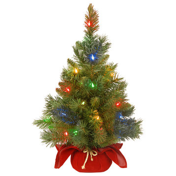24" Majestic Fir Tree with Battery Operated Multicolor LED Lights