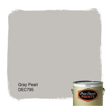PAINT