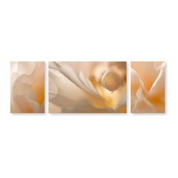 Peony Triptych - Products